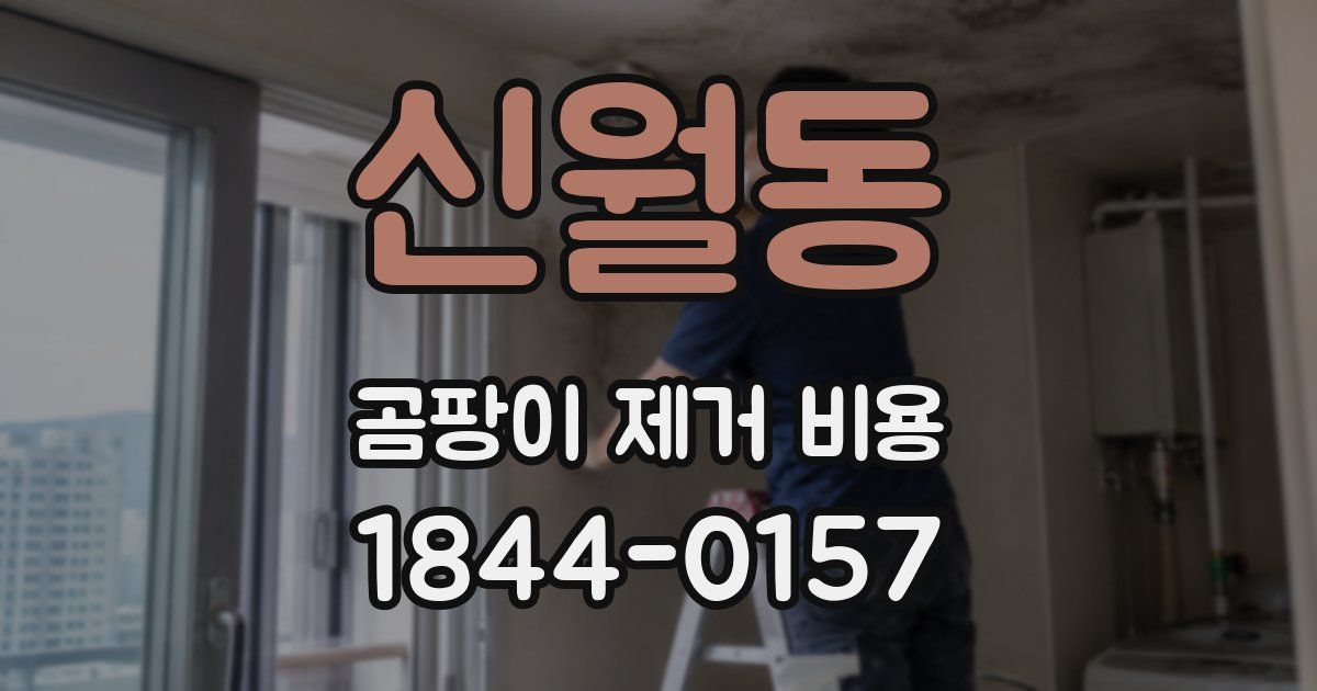 신월동 곰팡이 제거 비용