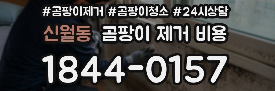 신월동 곰팡이 제거 비용