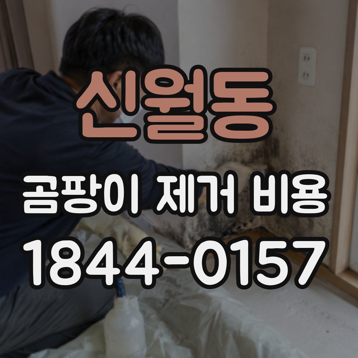신월동 곰팡이 제거 비용