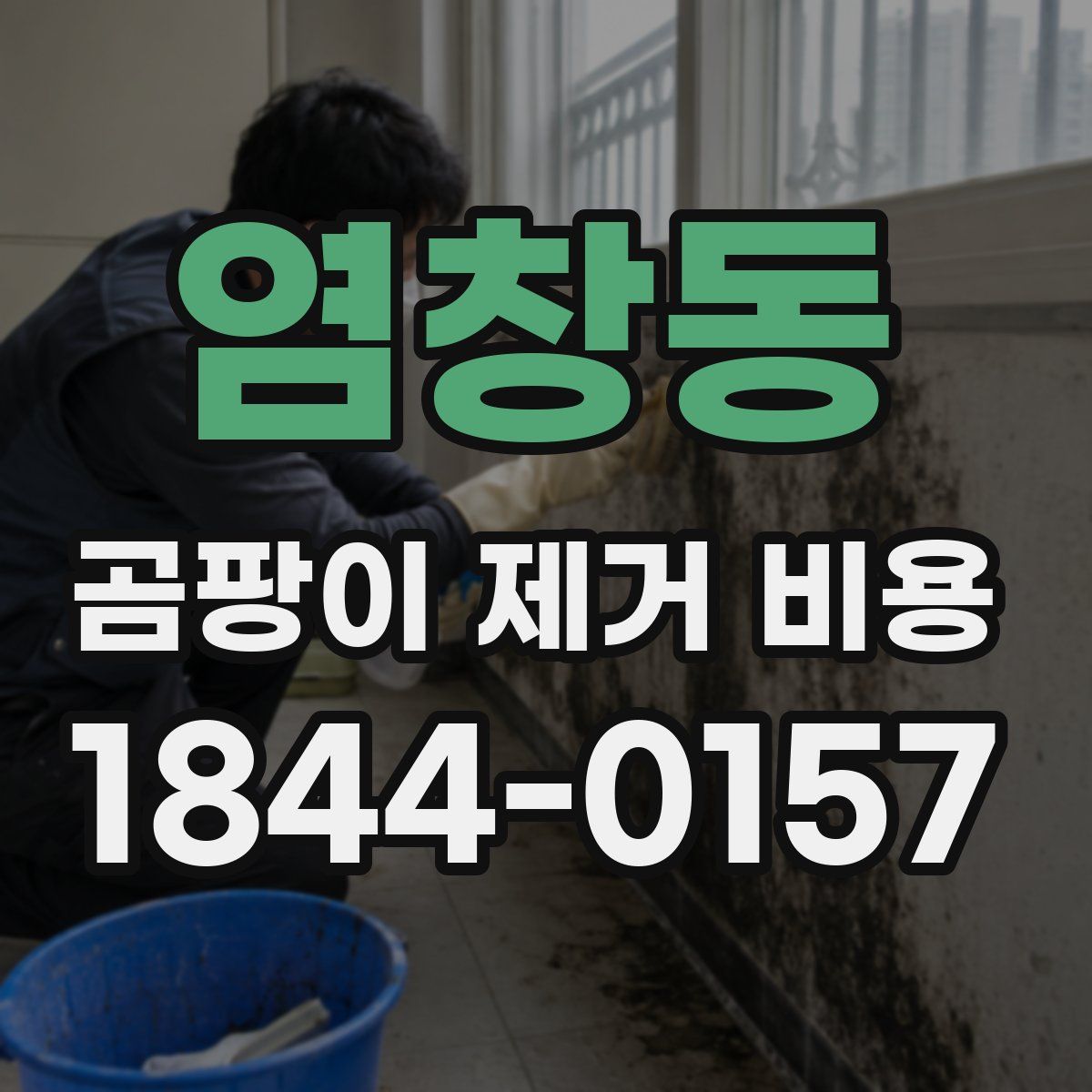 염창동 곰팡이 제거 비용