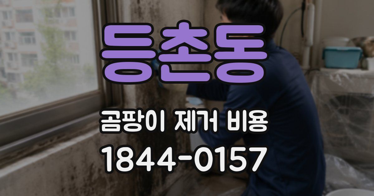 등촌동 곰팡이 제거 비용
