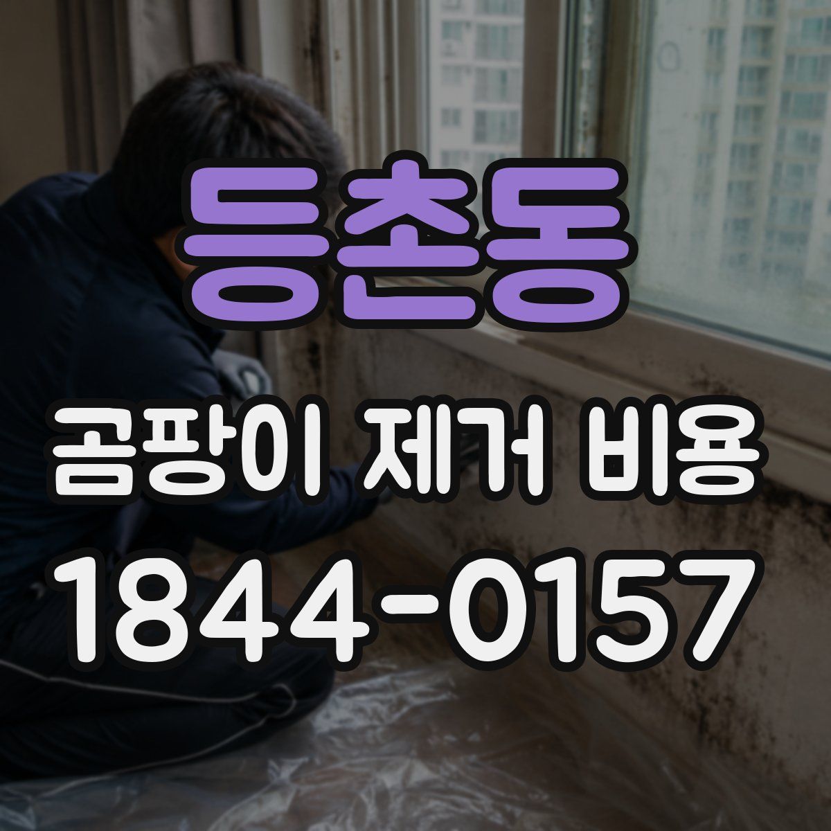 등촌동 곰팡이 제거 비용