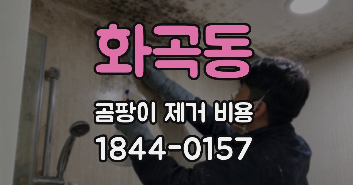 화곡동 곰팡이 제거 비용