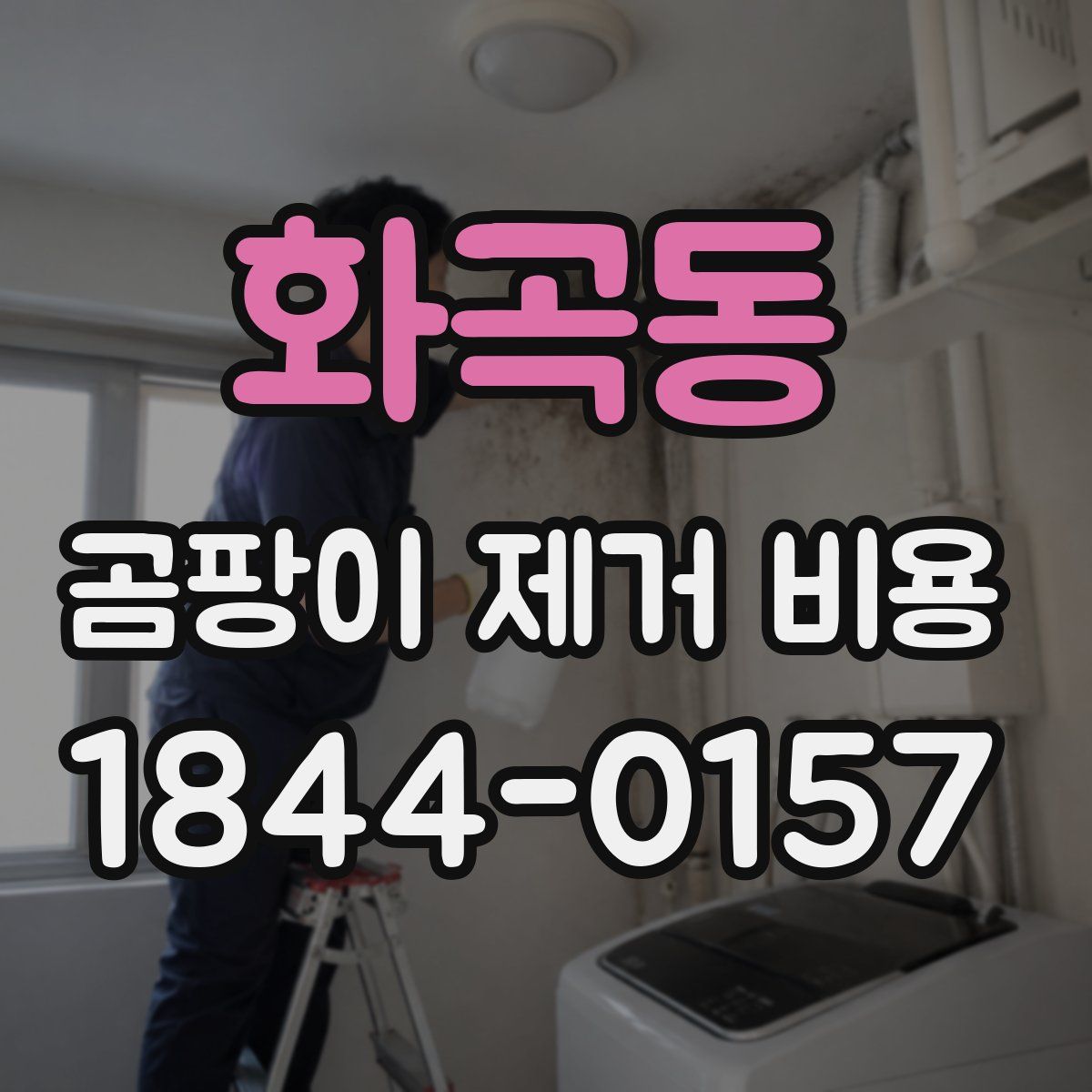 화곡동 곰팡이 제거 비용