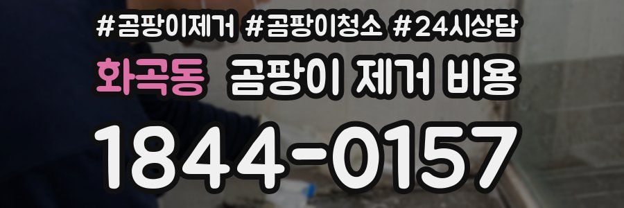 화곡동 곰팡이 제거 비용