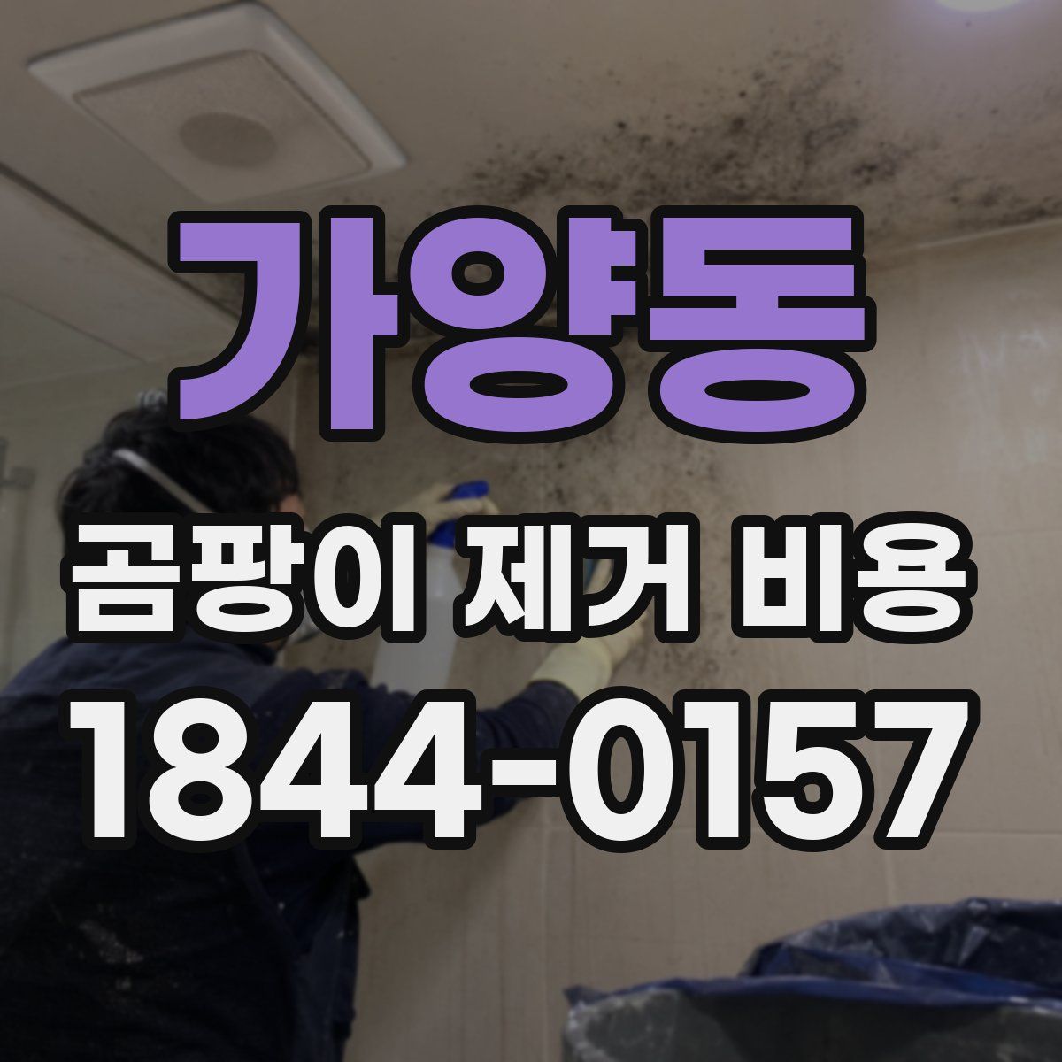 가양동 곰팡이 제거 비용