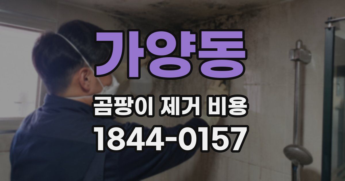 가양동 곰팡이 제거 비용