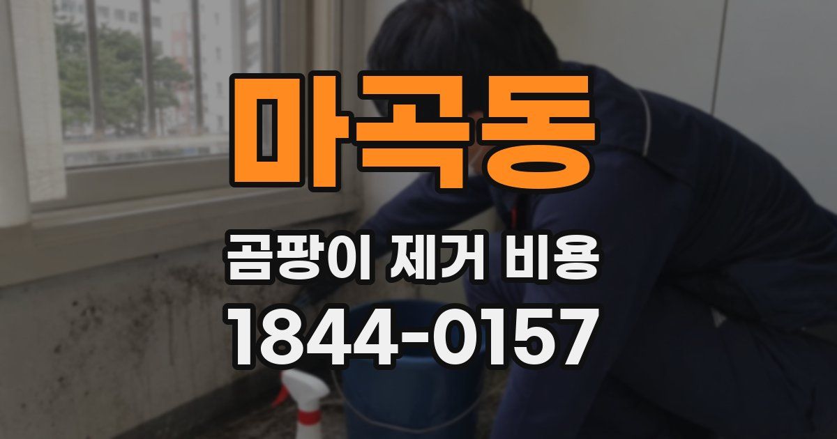 마곡동 곰팡이 제거 비용