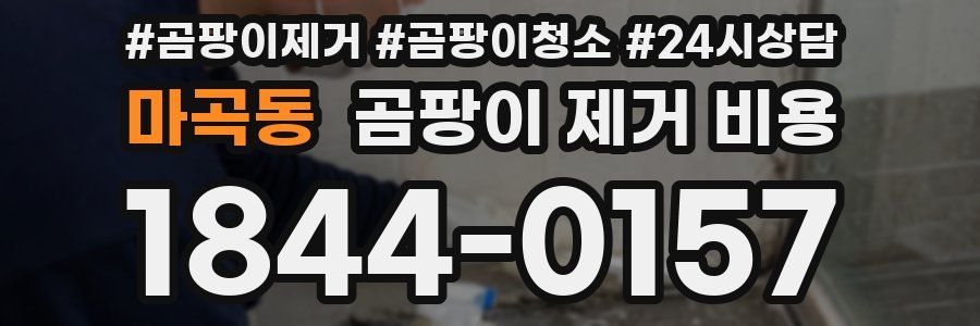 마곡동 곰팡이 제거 비용