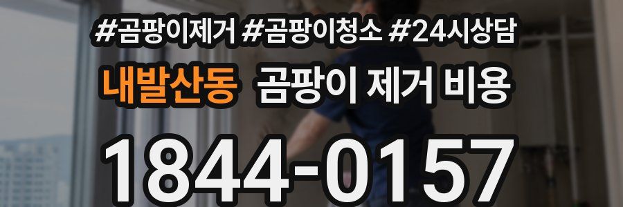 내발산동 곰팡이 제거 비용