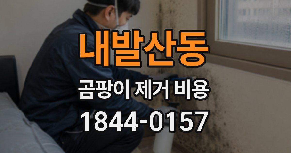 내발산동 곰팡이 제거 비용