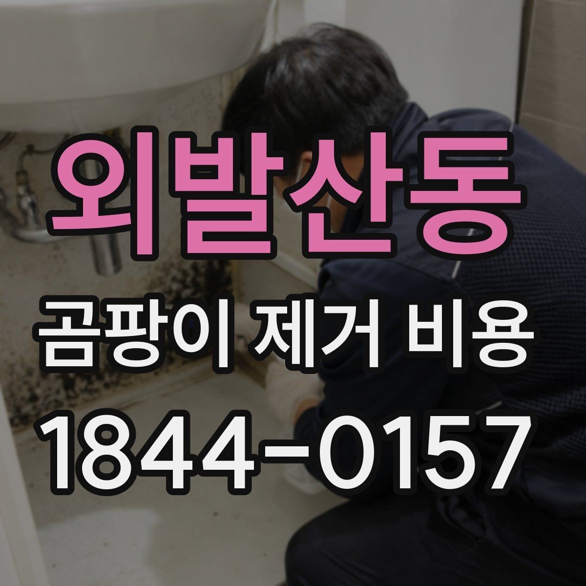 외발산동 곰팡이 제거 비용 전체 시공이 필요한 경우를 판단하는 법