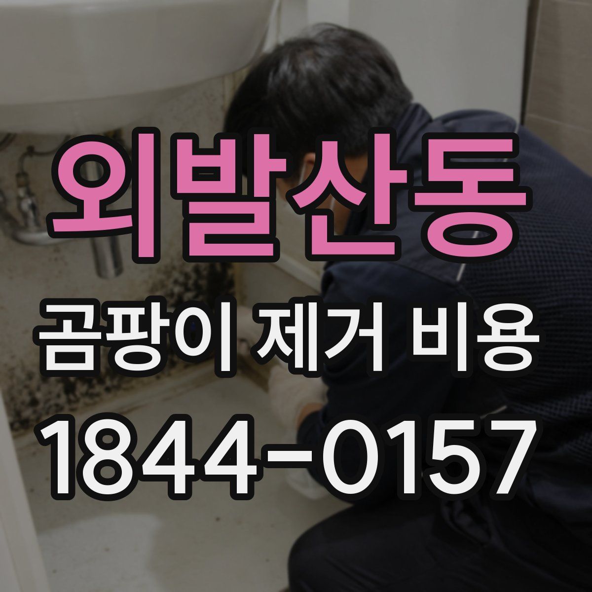 외발산동 곰팡이 제거 비용