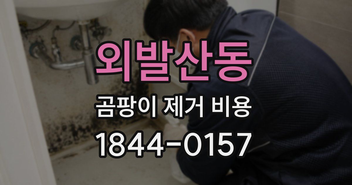 외발산동 곰팡이 제거 비용