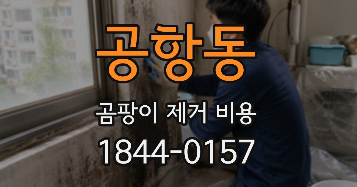 공항동 곰팡이 제거 비용