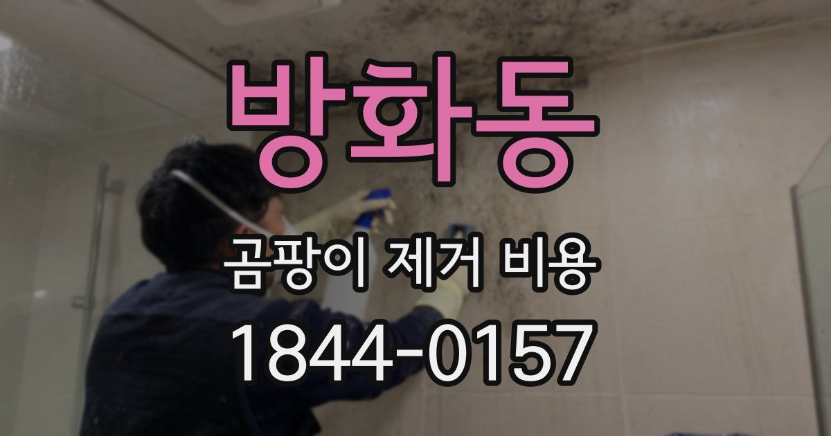 방화동 곰팡이 제거 비용