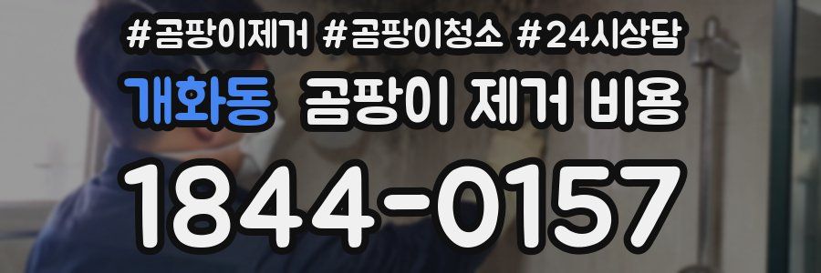 개화동 곰팡이 제거 비용