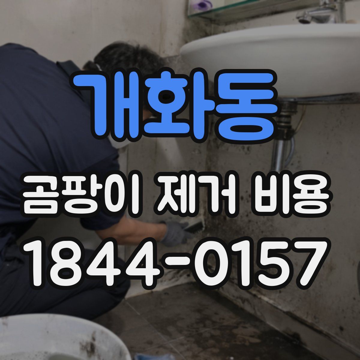 개화동 곰팡이 제거 비용
