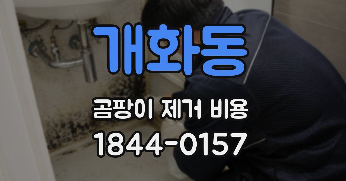 개화동 곰팡이 제거 비용