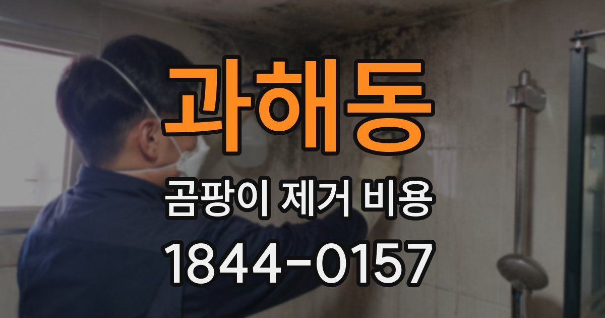 과해동 곰팡이 제거 비용