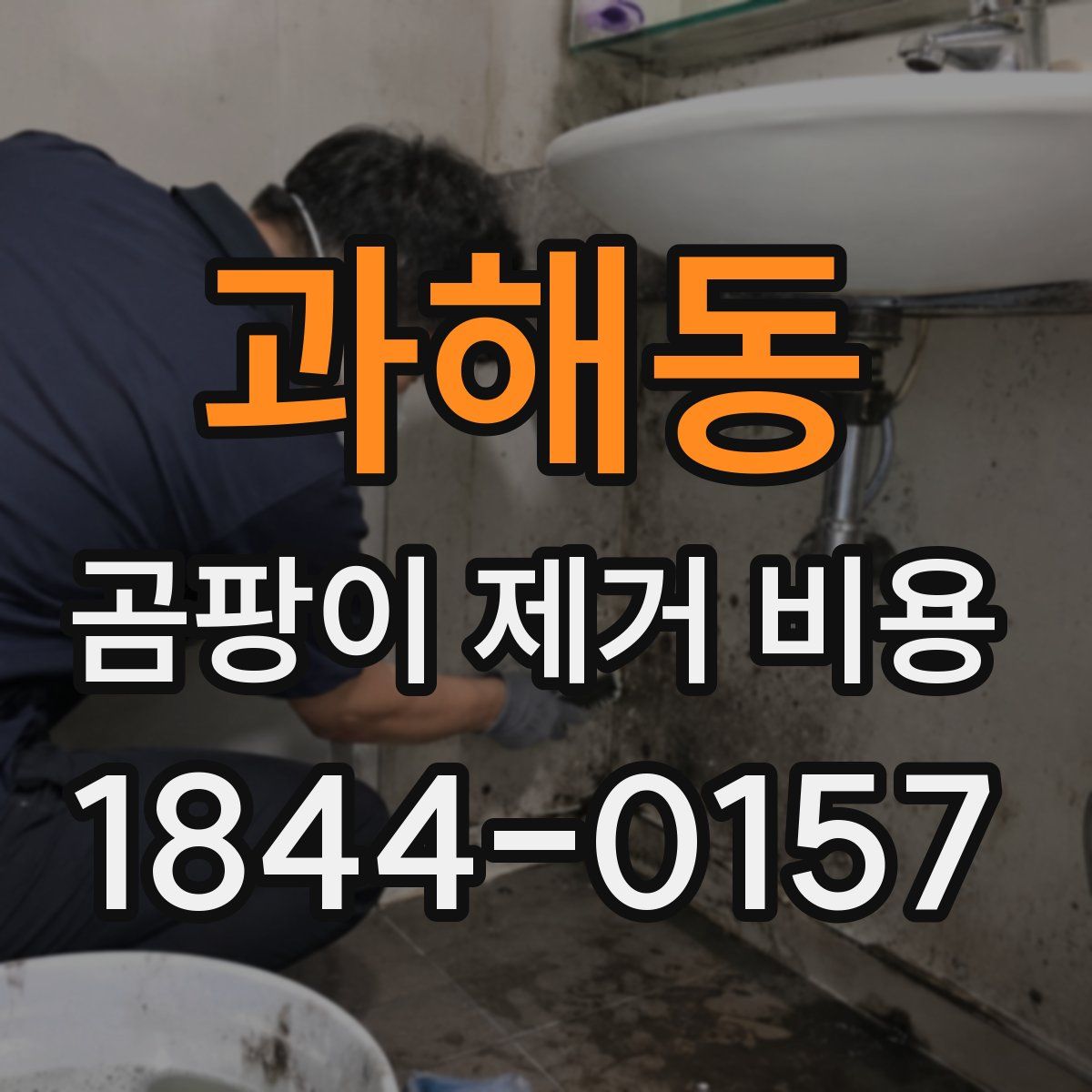 과해동 곰팡이 제거 비용