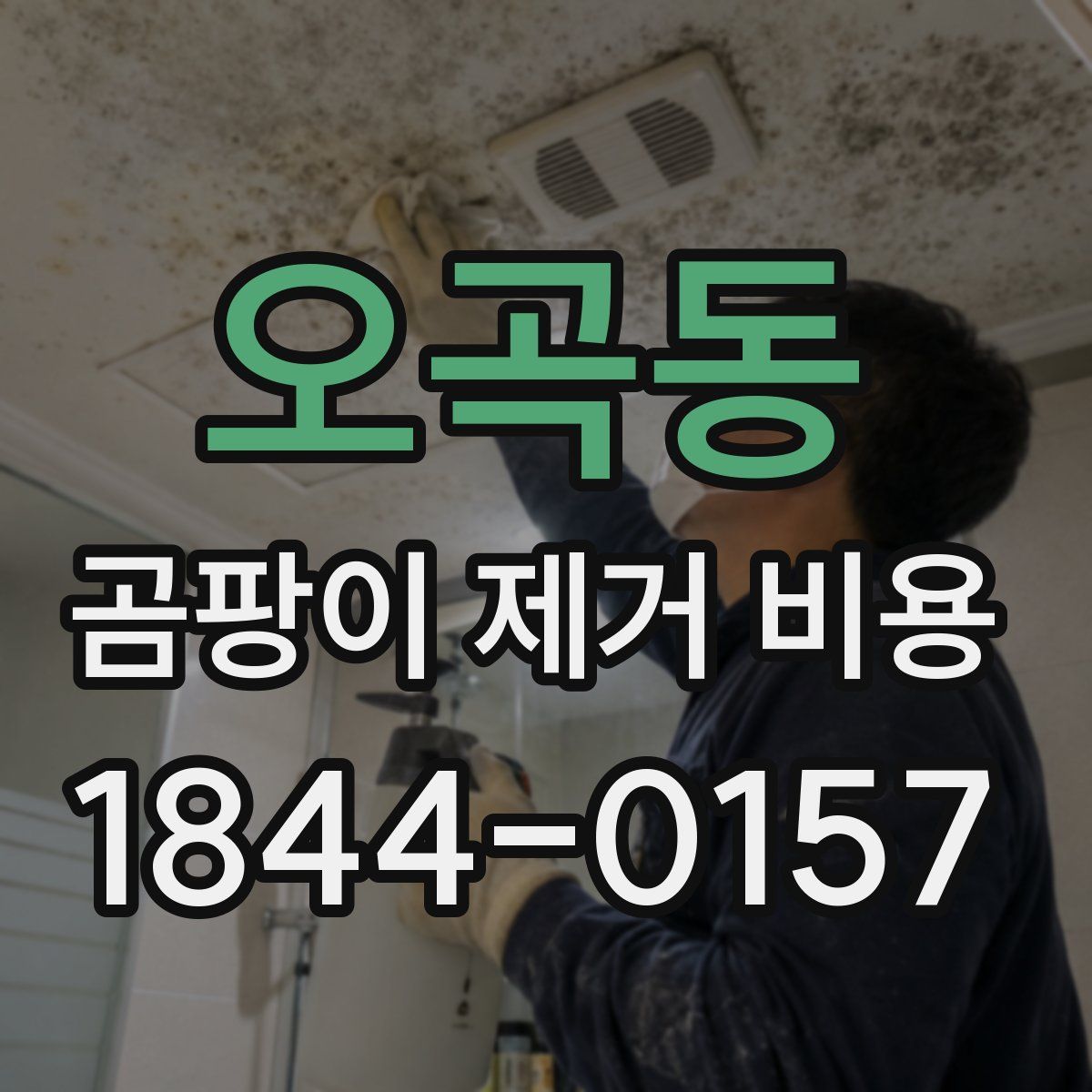 오곡동 곰팡이 제거 비용