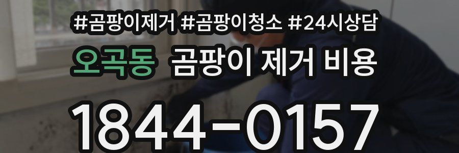 오곡동 곰팡이 제거 비용