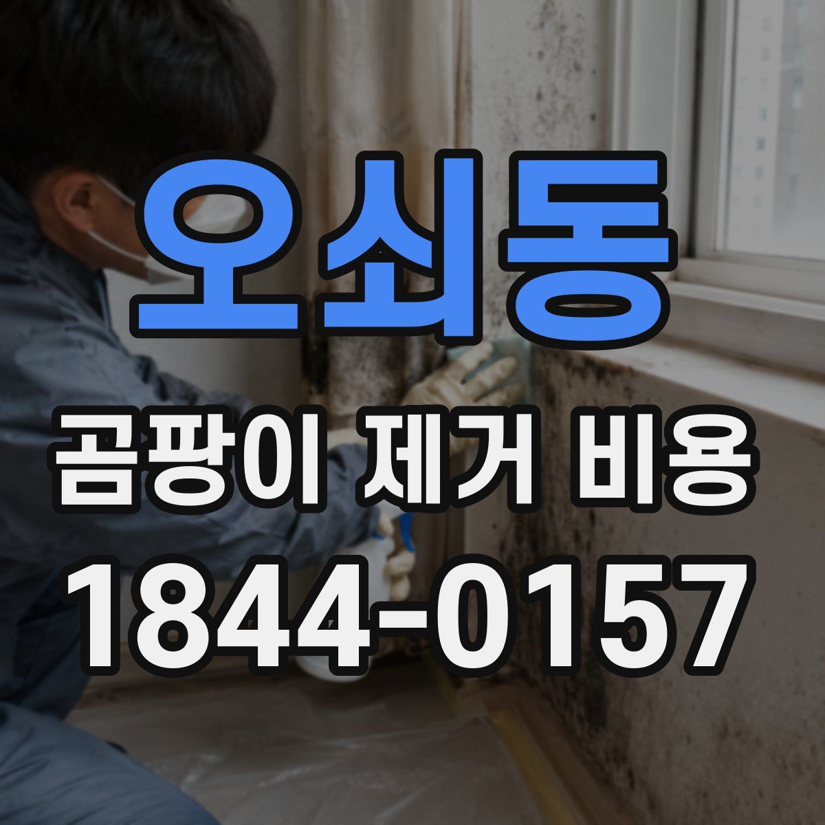 오쇠동 곰팡이 제거 비용