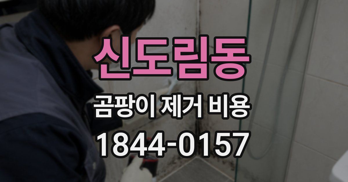 신도림동 곰팡이 제거 비용