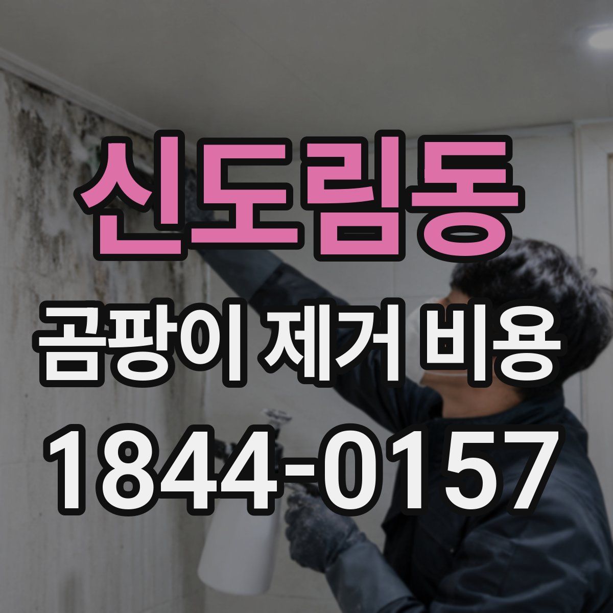 신도림동 곰팡이 제거 비용