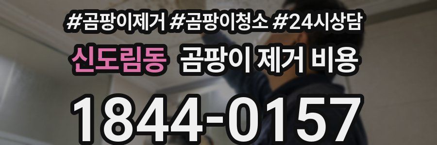 신도림동 곰팡이 제거 비용