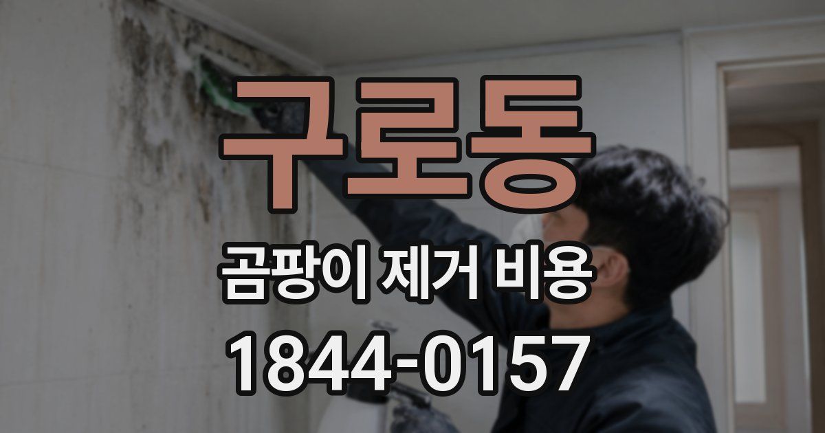 구로동 곰팡이 제거 비용