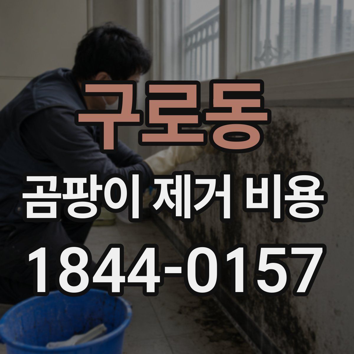 구로동 곰팡이 제거 비용
