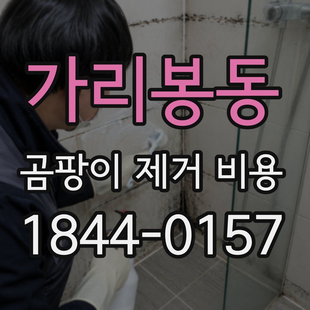 가리봉동 곰팡이 제거 비용