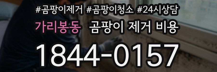 가리봉동 곰팡이 제거 비용