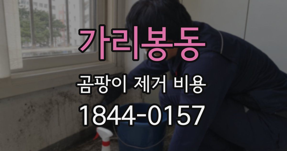 가리봉동 곰팡이 제거 비용