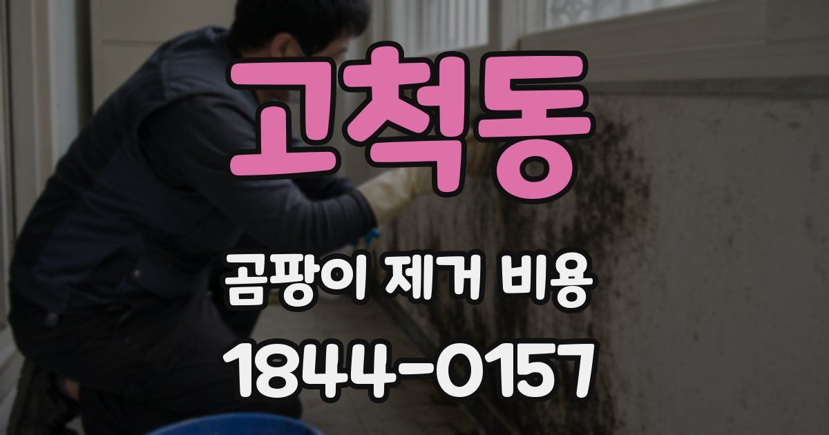 고척동 곰팡이 제거 비용