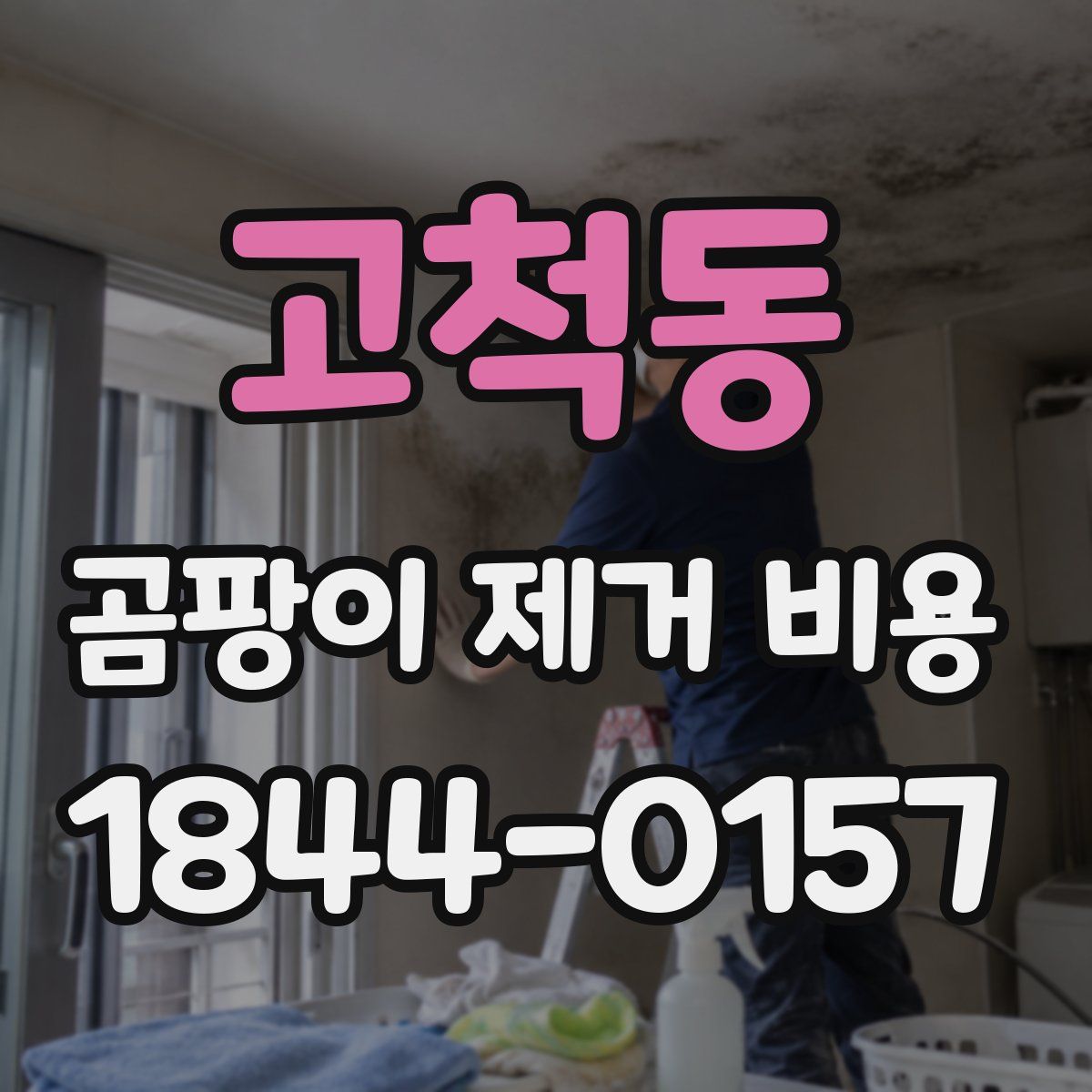 고척동 곰팡이 제거 비용