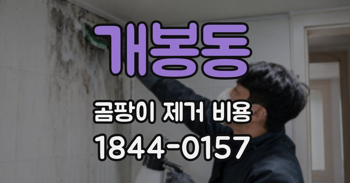 개봉동 곰팡이 제거 비용