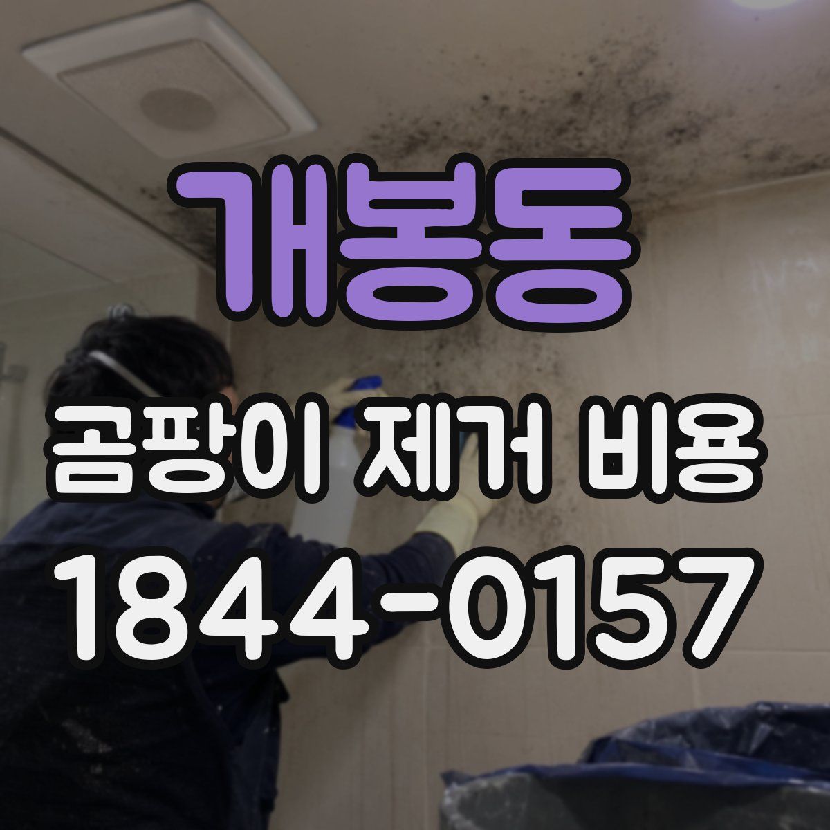 개봉동 곰팡이 제거 비용