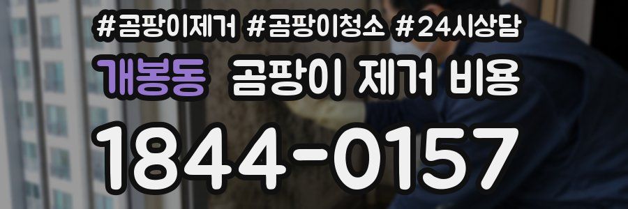 개봉동 곰팡이 제거 비용
