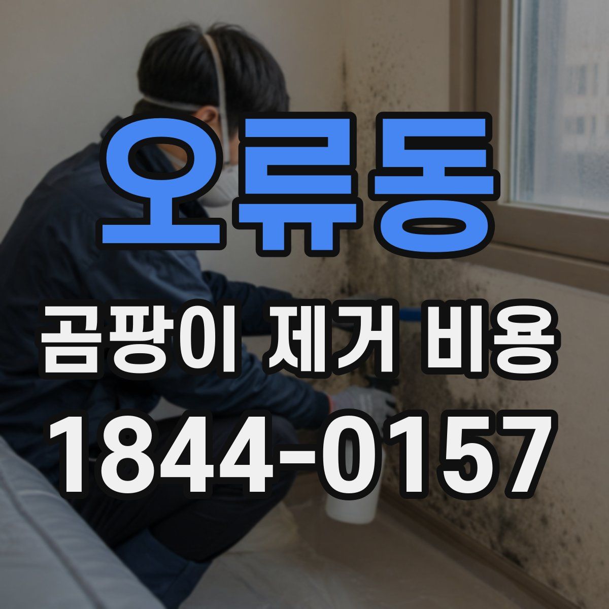 오류동 곰팡이 제거 비용