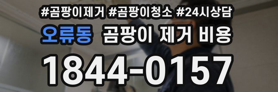 오류동 곰팡이 제거 비용