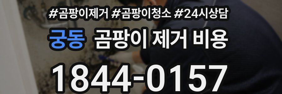 궁동 곰팡이 제거 비용