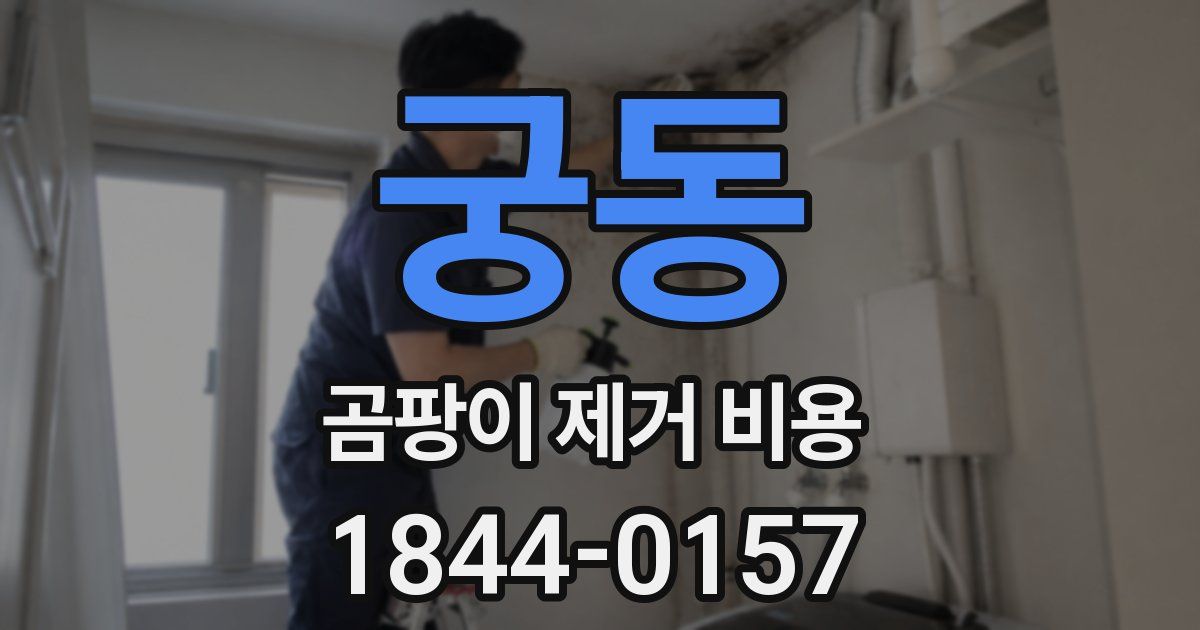 궁동 곰팡이 제거 비용