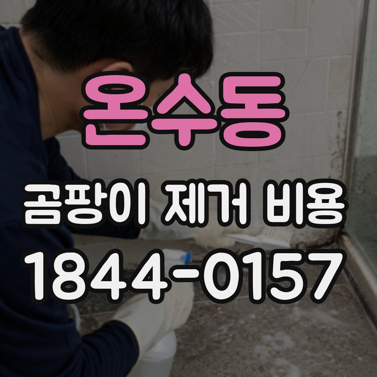 온수동 곰팡이 제거 비용