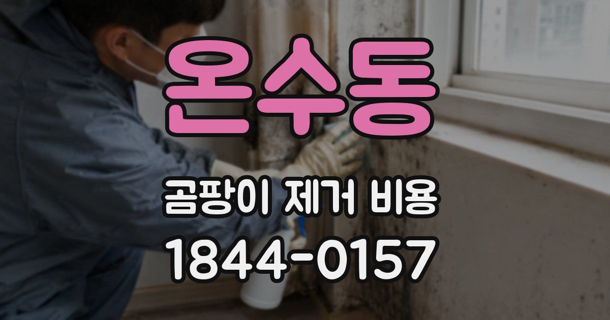 온수동 곰팡이 제거 비용