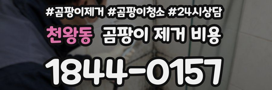 천왕동 곰팡이 제거 비용
