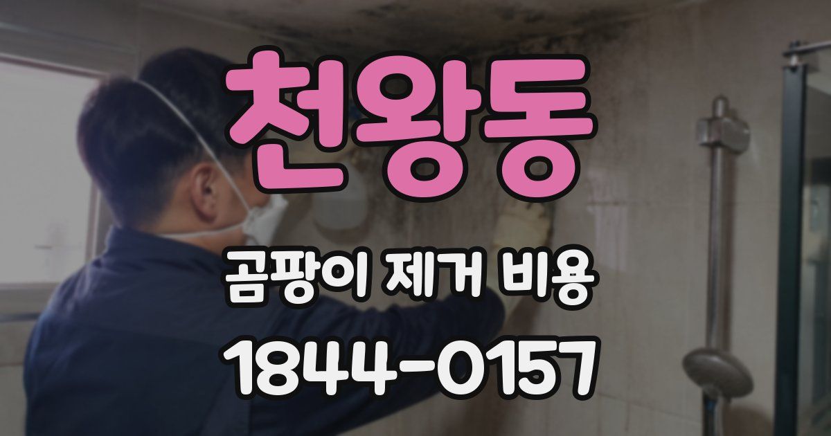 천왕동 곰팡이 제거 비용