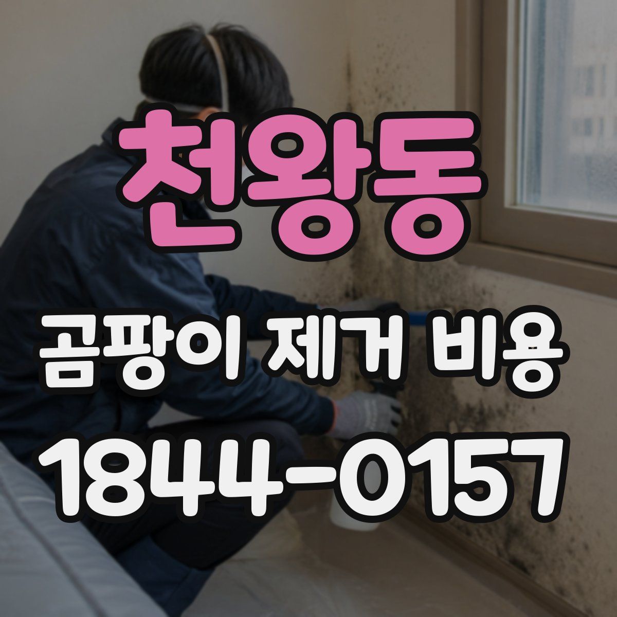 천왕동 곰팡이 제거 비용